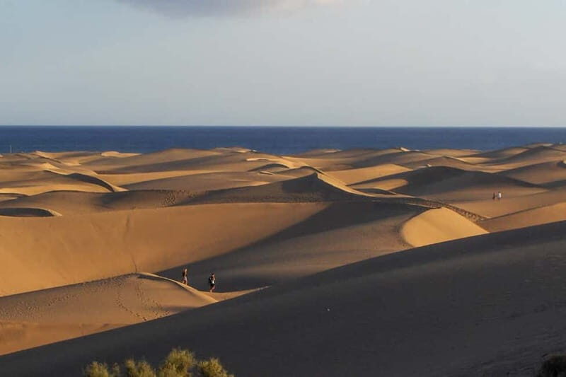 Maspalomas: 1 Hour Segway Sightseeing Tour - The Experience and How It Feels
