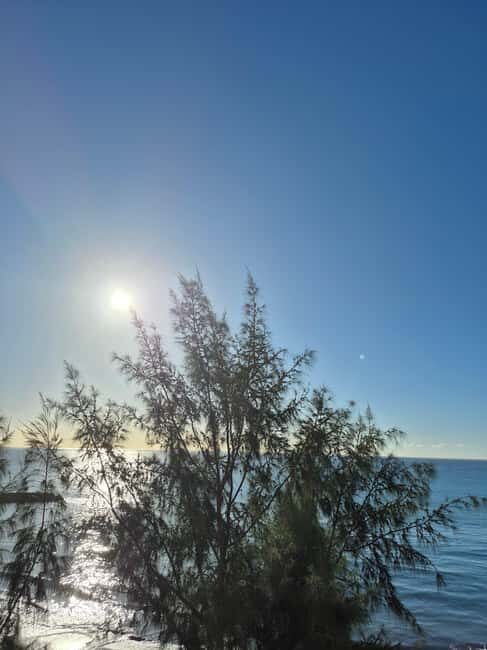 Maspalomas: Sunset Walking Tour with Lighthouse Views - What Makes This Tour Stand Out?