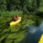 Masurian Lake District: Canoe and Sailing Tour from Warsaw - What to Expect During Canoeing