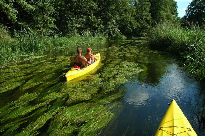 Masurian Lake District: Canoe and Sailing Tour from Warsaw - What to Expect During Canoeing