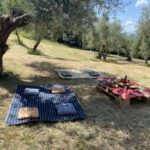 Matera: Pic-Nic under the Centuries-Old Olive Trees - Is This Experience Worth the Price?