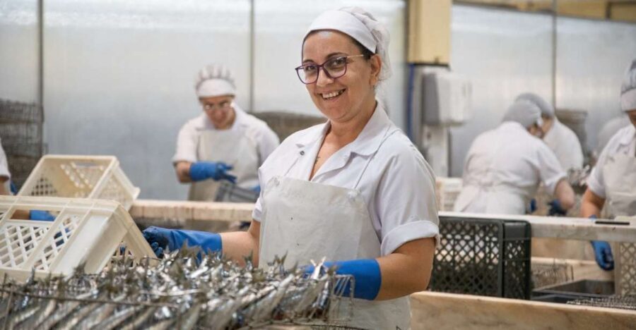 Matosinhos: Conservas Pinhais Factory Tour - Pricing and Value