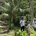 Maui Historical Island Tour - The Real Experiences from Travelers