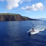 Maui-Lanai EcoRaft Tour: Snorkel or Dolphin Watch (Semi-Private) - Practical Details and Considerations
