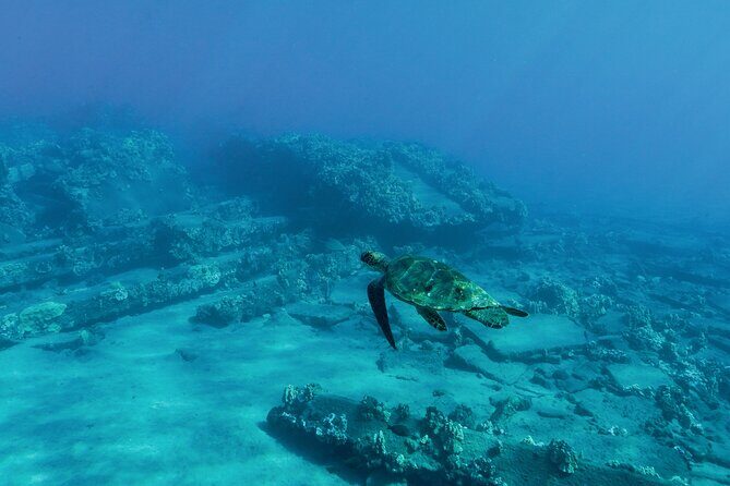Maui Snorkeling Boat Tour to Turtle Town Aboard Quicksilver - Water Activities & Onboard Fun