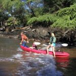 Maui South Shore Premier Kayak and Snorkel Tour from Makena Beach - Is It Worth the Price?