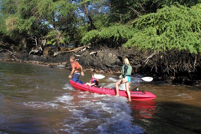 Maui South Shore Premier Kayak and Snorkel Tour from Makena Beach - Is It Worth the Price?