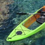Maui's Only Clear Bottom Kayak Rental (priced per tandem kayak) - Would We Recommend It?