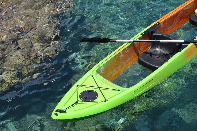 Maui's Only Clear Bottom Kayak Rental (priced per tandem kayak) - Would We Recommend It?