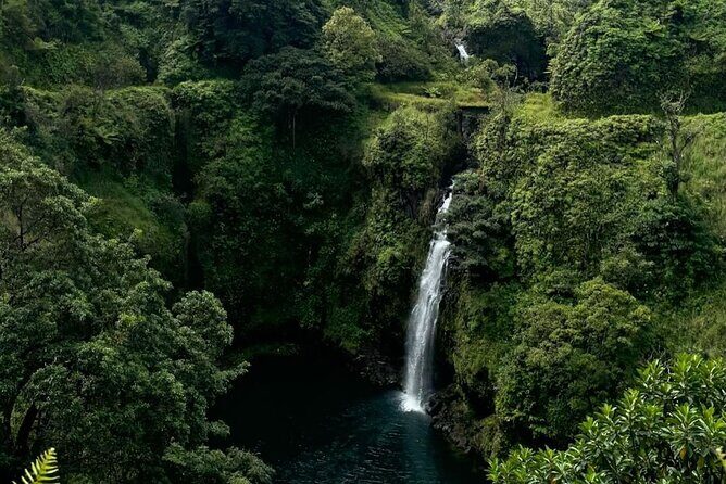 Mauis Sea Turtles, Waterfalls and Road to Hana Adventure - The Itinerary in Detail