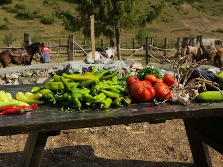 Mavrovo, Galicnik and Jovan Bigorski Monastery from Skopje - What Travelers Are Saying