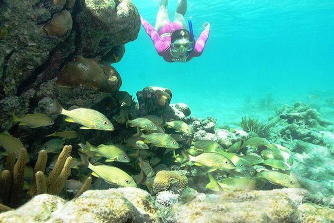 Mayan Adventure from Cancun - Authentic Feedback from Travelers