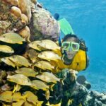 Mayan Adventure Snorkeling Tour from Playa del Carmen or Riviera Maya - The Bottom Line