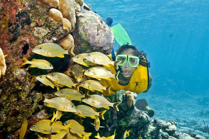 Mayan Adventure Snorkeling Tour from Playa del Carmen or Riviera Maya - The Bottom Line