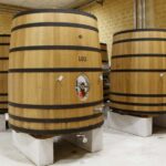 Mazara: Winery tour among the vineyards with tasting - Tasting and Food Pairings