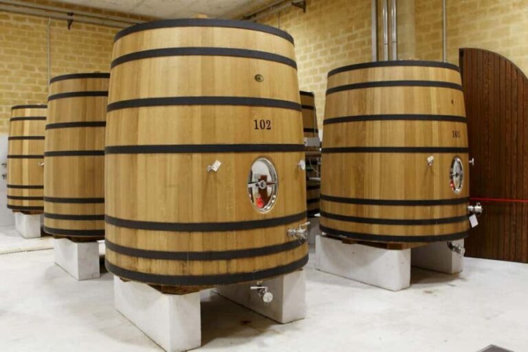 Mazara: Winery tour among the vineyards with tasting - Tasting and Food Pairings