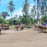 Mazatlan Sightseeing and Beach All Inclusive - Is This Tour Worth It?