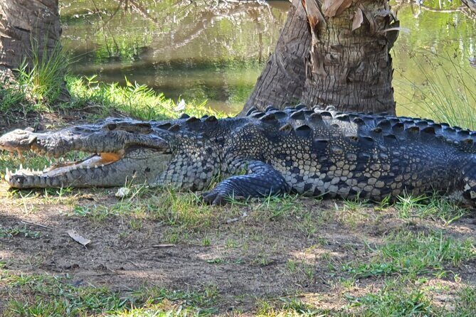 Mazunte, Zipolite, Ventanilla, Punta Cometa - The Value and Overall Experience
