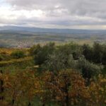 Mazzurega: Winery Tour with Tasting and Food Pairing - An In-Depth Look at the Mazzurega Winery Tour