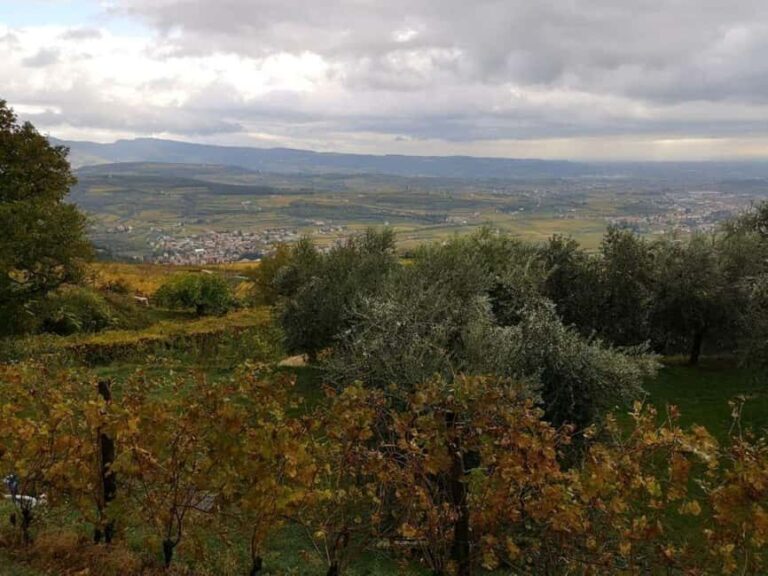 Mazzurega: Winery Tour with Tasting and Food Pairing - An In-Depth Look at the Mazzurega Winery Tour