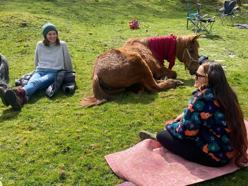 Meditate With Horses - The Step-by-Step Itinerary
