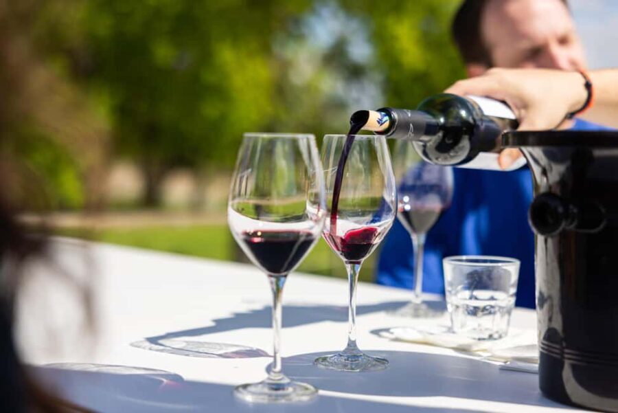 Medoc Afternoon Wine Tour, 2 Wineries, tastings & delicacies - What Makes This Tour Stand Out?