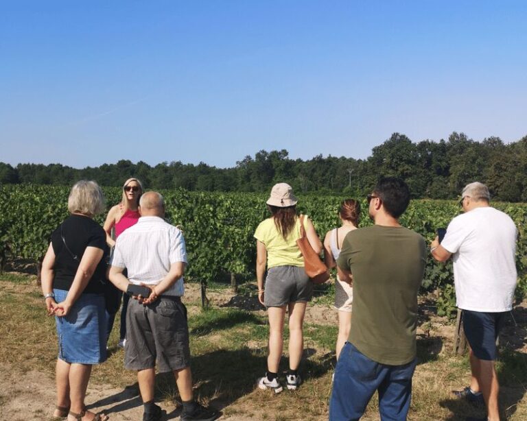 Médoc wine tour from Bordeaux: 2 wineries & 6 wines - The Itinerary: What to Expect