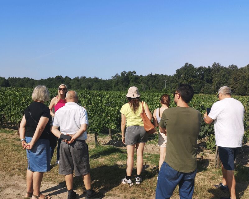 Médoc wine tour from Bordeaux: 2 wineries & 6 wines - The Itinerary: What to Expect