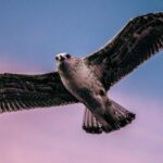 Medulin: Christmas Boat Trip with Lunch and Drinks - The Itinerary Breakdown