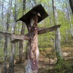 Medvednica Hiking and Chestnuts Picking Tour from Zagreb - The Value: Is It Worth It?