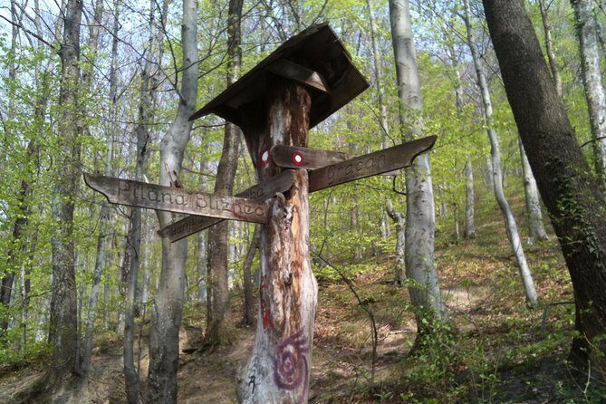 Medvednica Hiking and Chestnuts Picking Tour from Zagreb - The Value: Is It Worth It?