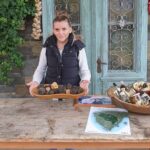 Medvednica Nature Park Falconry Tour from Zagreb - The Value of This Tour