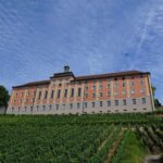 Meersburg: Private Guided Walking Tour - Savoring the Local Wine and Traditions