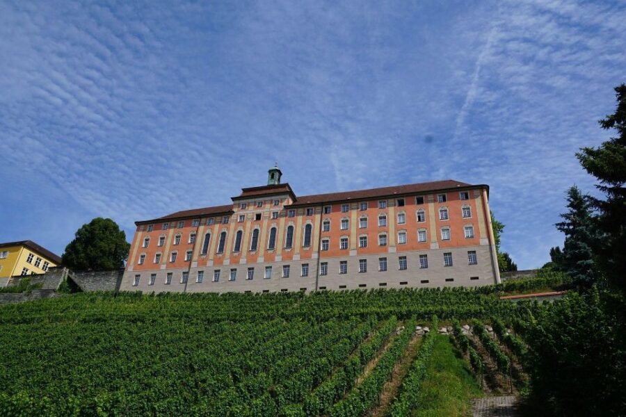 Meersburg: Private Guided Walking Tour - Savoring the Local Wine and Traditions