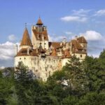 Meet the Bears & Visit Dracula Castle Day Tour from Bucharest - What You’ll Love About This Tour