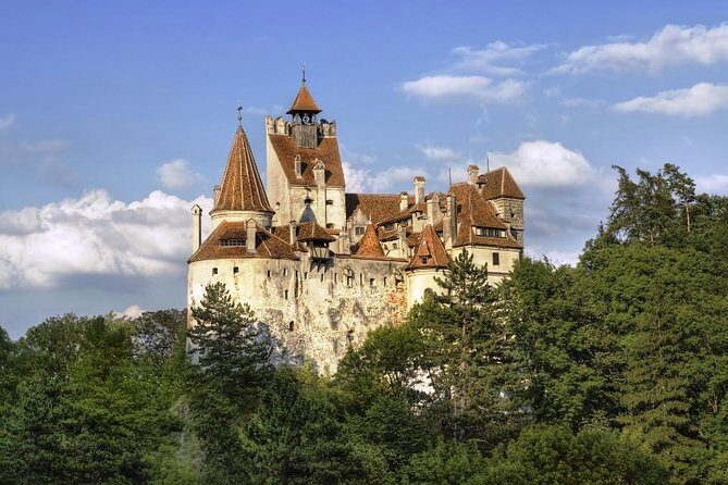 Meet the Bears & Visit Dracula Castle Day Tour from Bucharest - What You’ll Love About This Tour