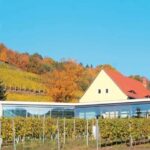 Meissen: Wine hike in the Spaargebirge including 3 wine tastings - Practical Details and Tips