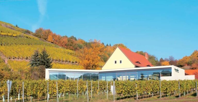 Meissen: Wine hike in the Spaargebirge including 3 wine tastings - Practical Details and Tips