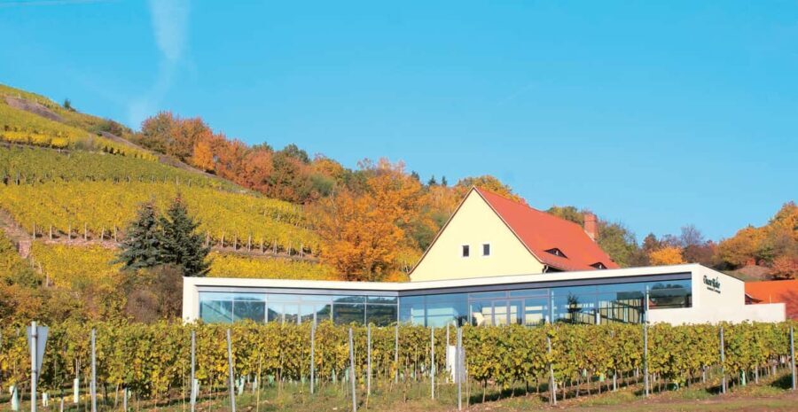 Meissen: Wine hike in the Spaargebirge including 3 wine tastings - Practical Details and Tips