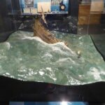 Mel Fisher Maritime Museum Admission Ticket - Who Is This Tour Best For?