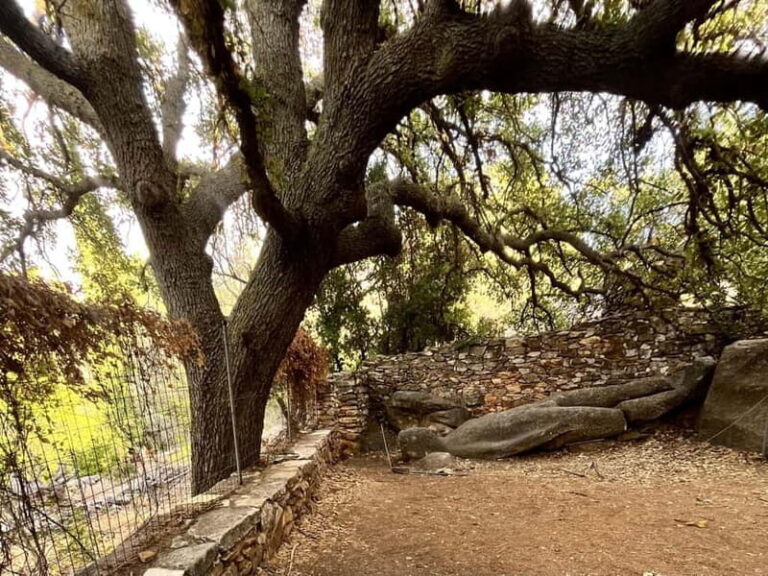 Melanes Tour: Village Highlights & Garden-to-Table Meal - How This Tour Fits Into Your Naxos Trip