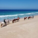Melides: Horseback Riding on Melides Beach - The Experience in Detail