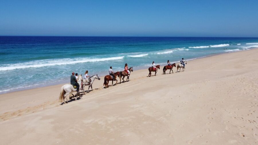 Melides: Horseback Riding on Melides Beach - The Experience in Detail