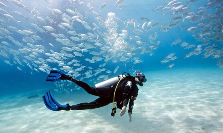 Mellieha: Introductory Diving Session in the Open Sea - The Equipment and Logistics