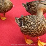 Memphis Music Scene: Private Half-Day Walking Tour - Who Would Love This Tour?