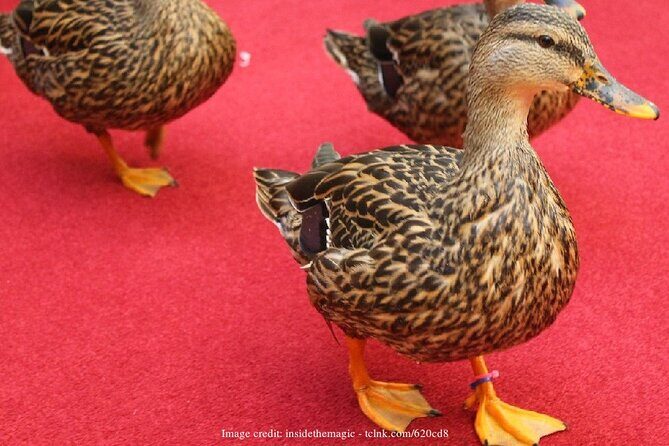 Memphis Music Scene: Private Half-Day Walking Tour - Who Would Love This Tour?