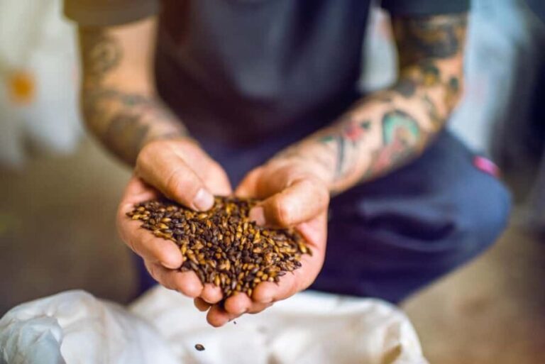 Mendig: Tasting regional beers at the Vulkan Brewery - Authentic Reviews & Insights