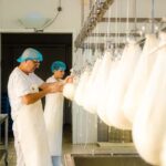Menorca: Guided visit to the Subaida cheese factory, - Why this tour works for travelers