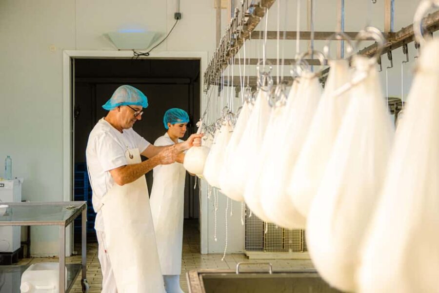 Menorca: Guided visit to the Subaida cheese factory, - Why this tour works for travelers