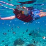 Menorca: Snorkel Tour with a Marine Biologist on South Coast - The Itinerary and What You’ll Actually Do
